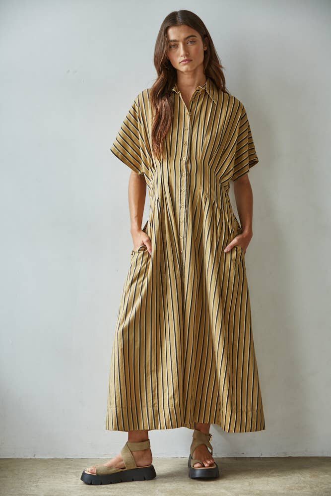 Woven Cotton Striped Collar Button-Down Flare Dress : Coffee
