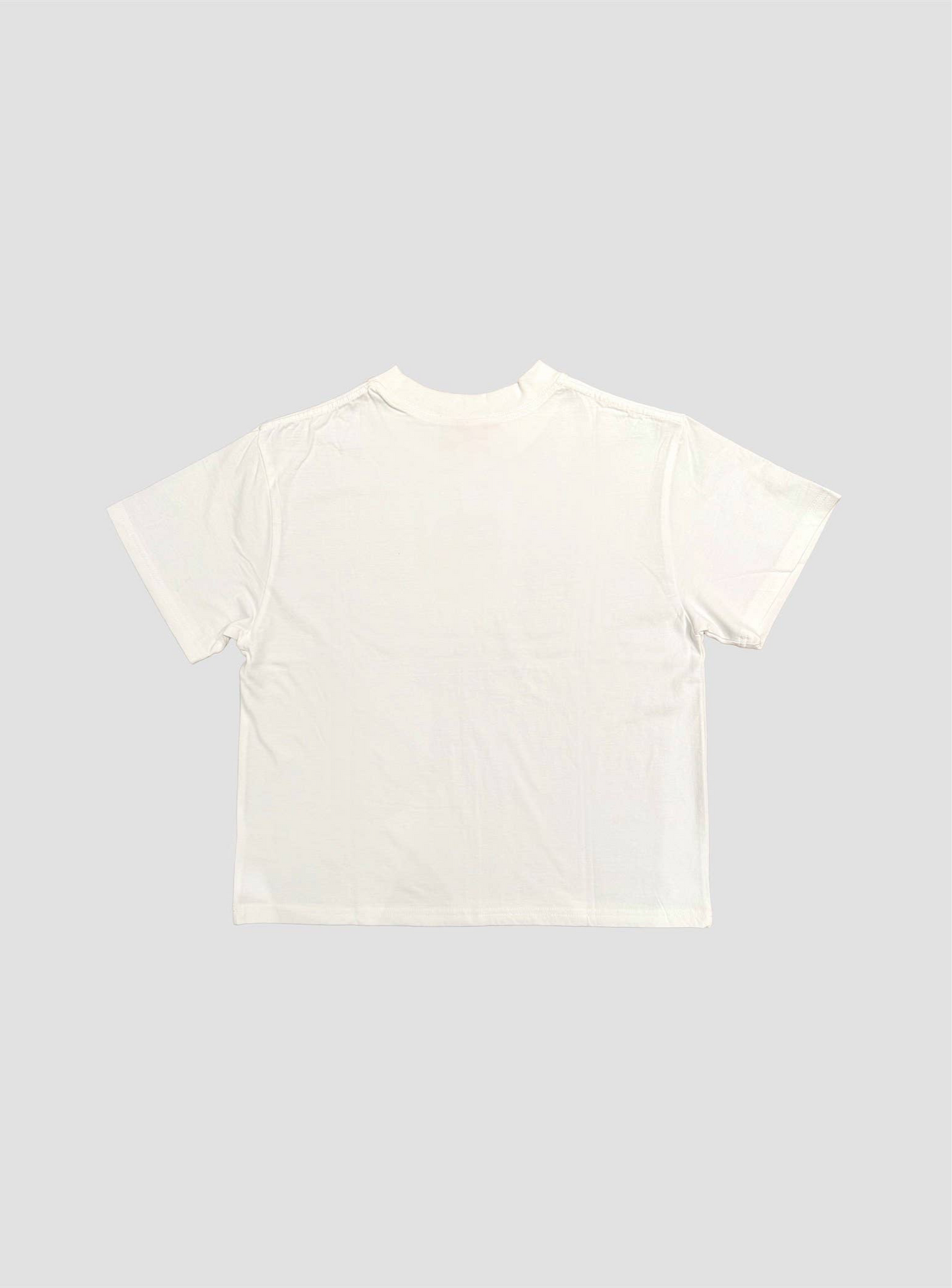 Mineral Washed Blank Cotton Tee: WHITE